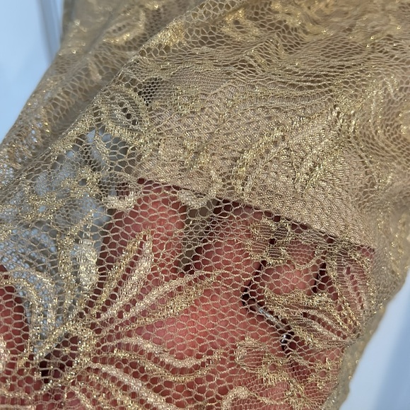 BCBG Max Azria Champagne Gold Lace Dress size 12-NWT - Picture 7 of 13